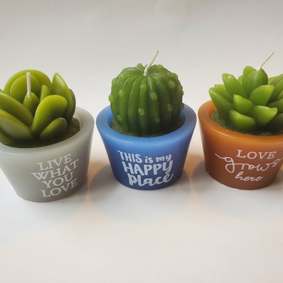 Succulent Cactus Shaped Candles, set of 3